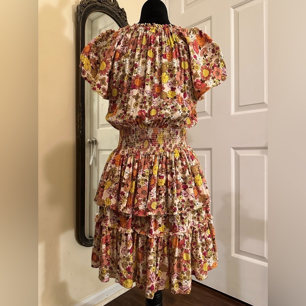 Anthropologie Patrons of Peace Floral Boho Ruffle Mini Dress โ Small - Picture 7 of 12